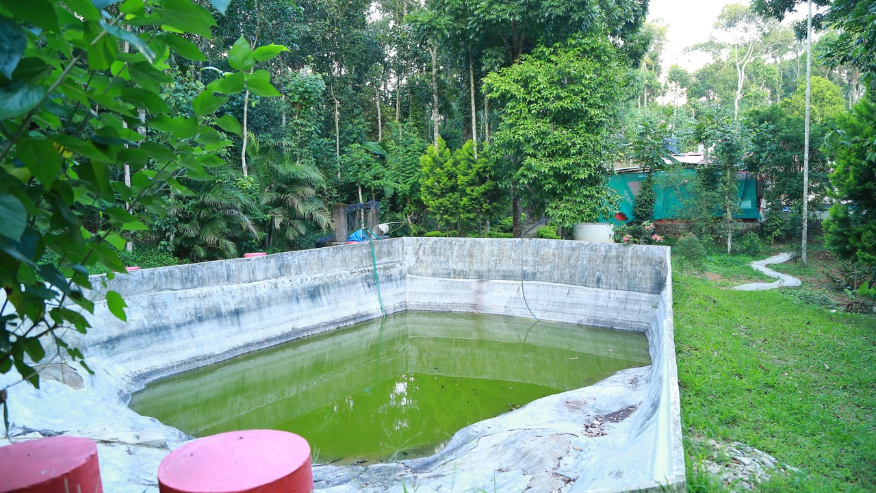 Photo of Outdoor in Pirmed
