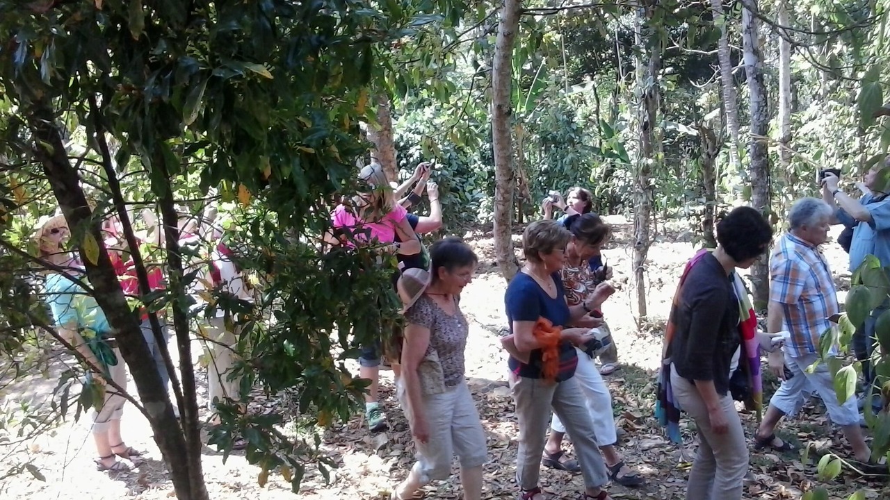 Photo of Outdoor in Pirmed