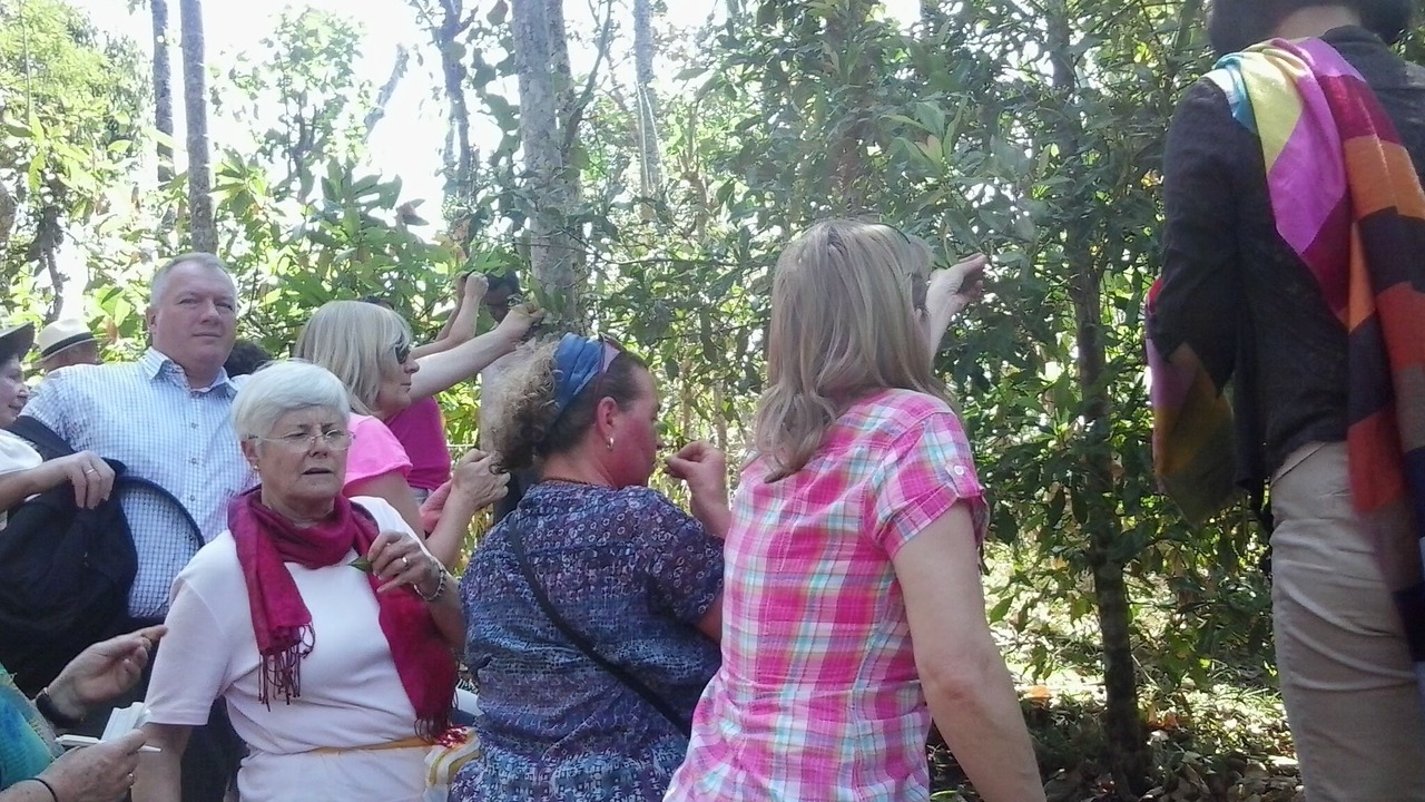 Photo of Others in Pirmed