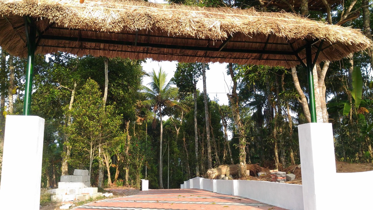 Photo of Outdoor in Pirmed
