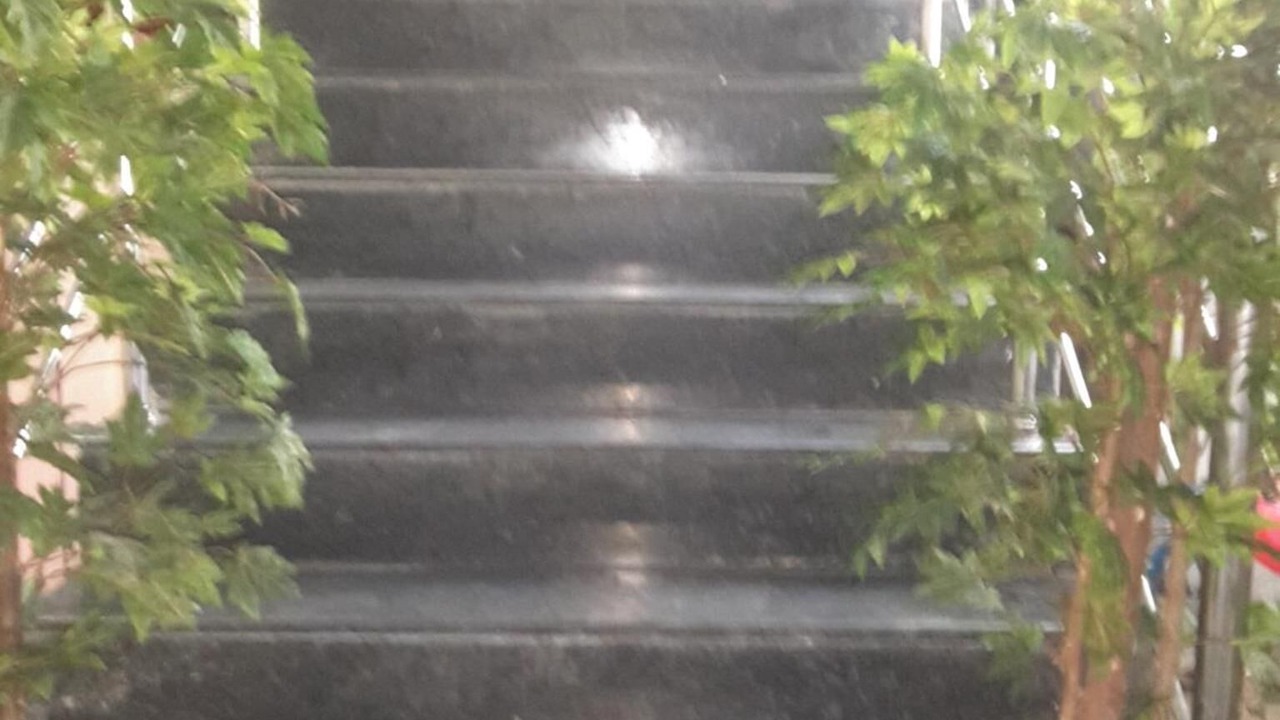 Photo of Outdoor in Mylapore Tiruvallikk