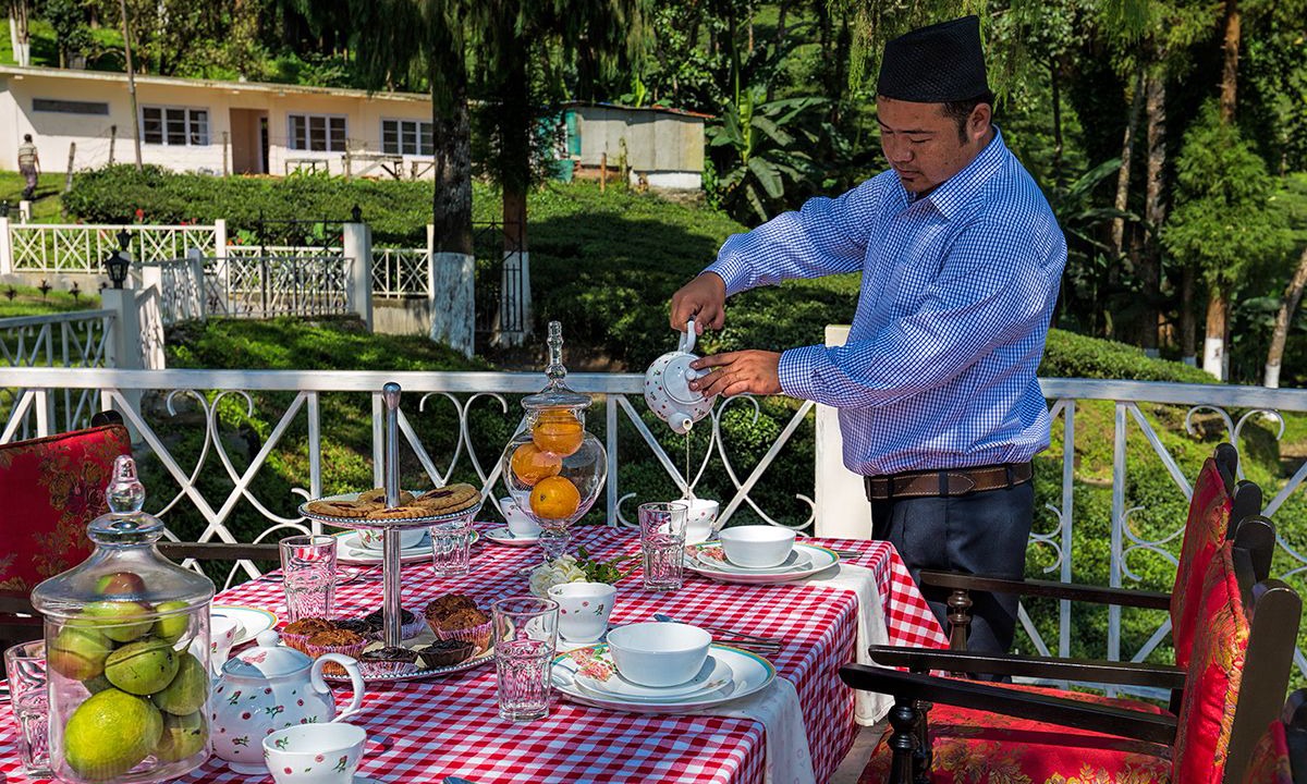 Photo of Others in Ging Tea Garden