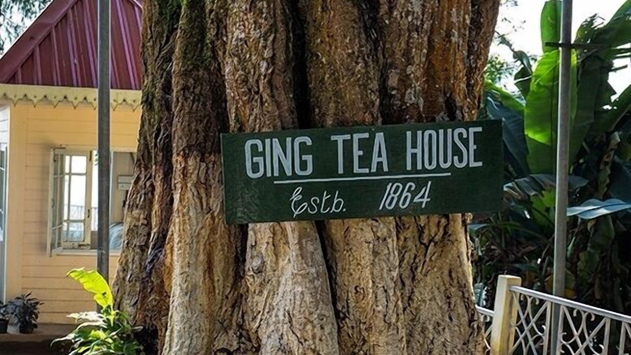 Photo of Outdoor in Ging Tea Garden