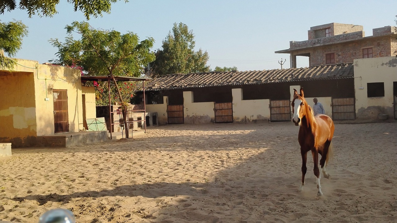 Photo of Outdoor in Rohet