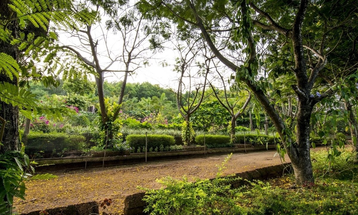 Photo of Outdoor in Paduvari