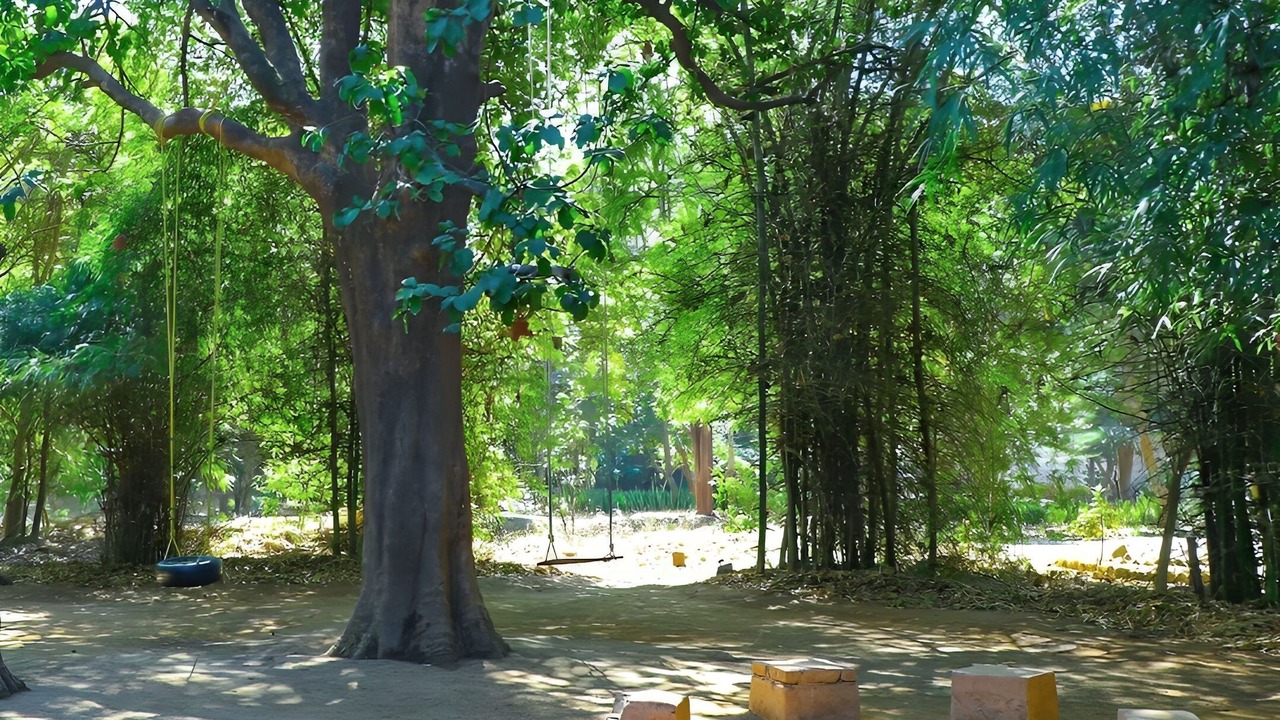 Photo of Outdoor in Kohka