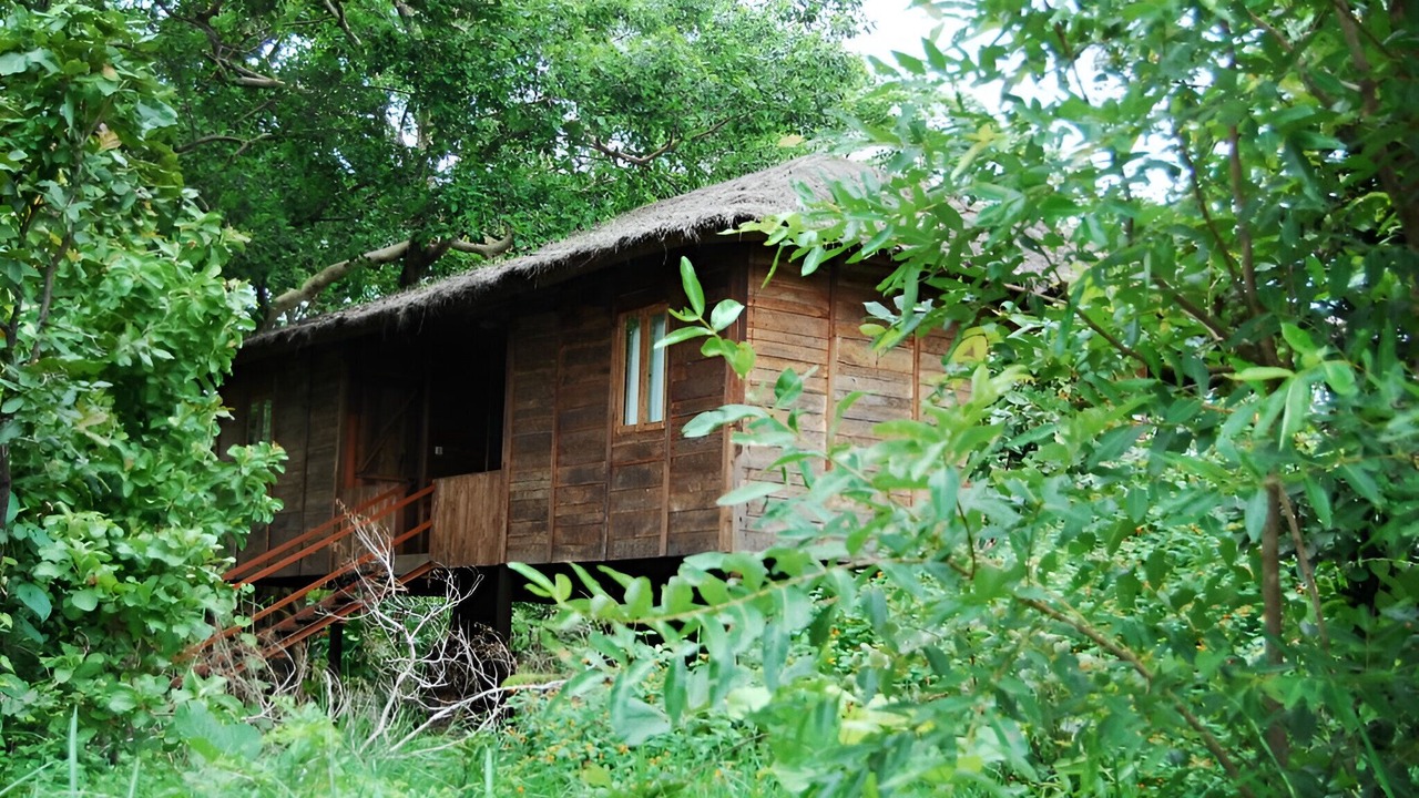 Photo of Outdoor in Kohka