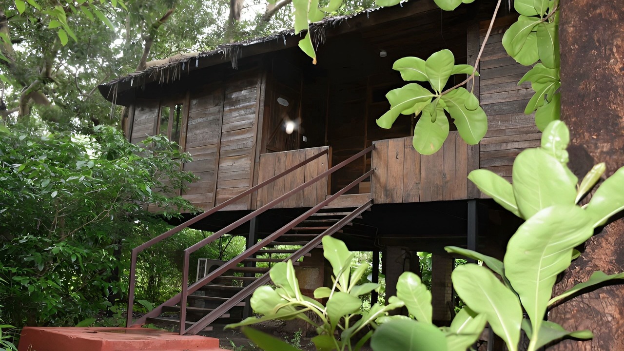 Photo of Outdoor in Kohka