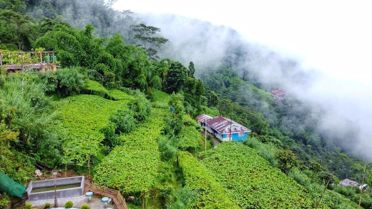 Photo of Others in Darjeeling