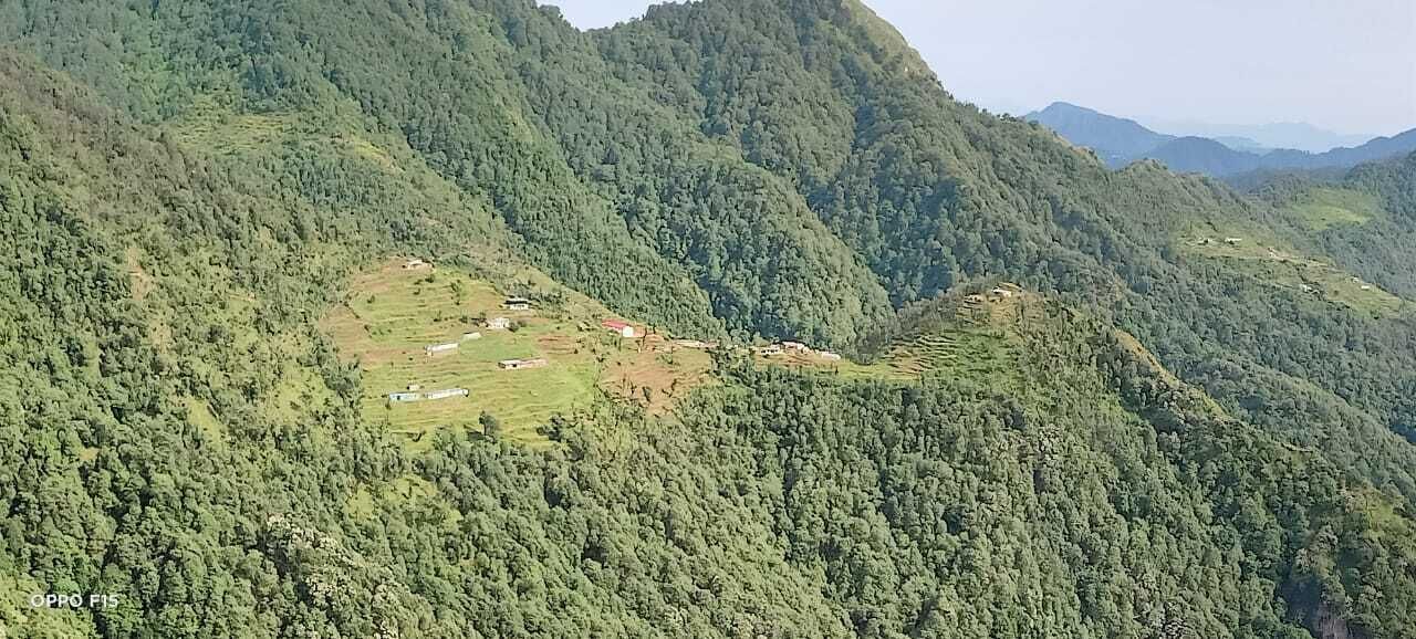 Photo of Others in Dhanaulti