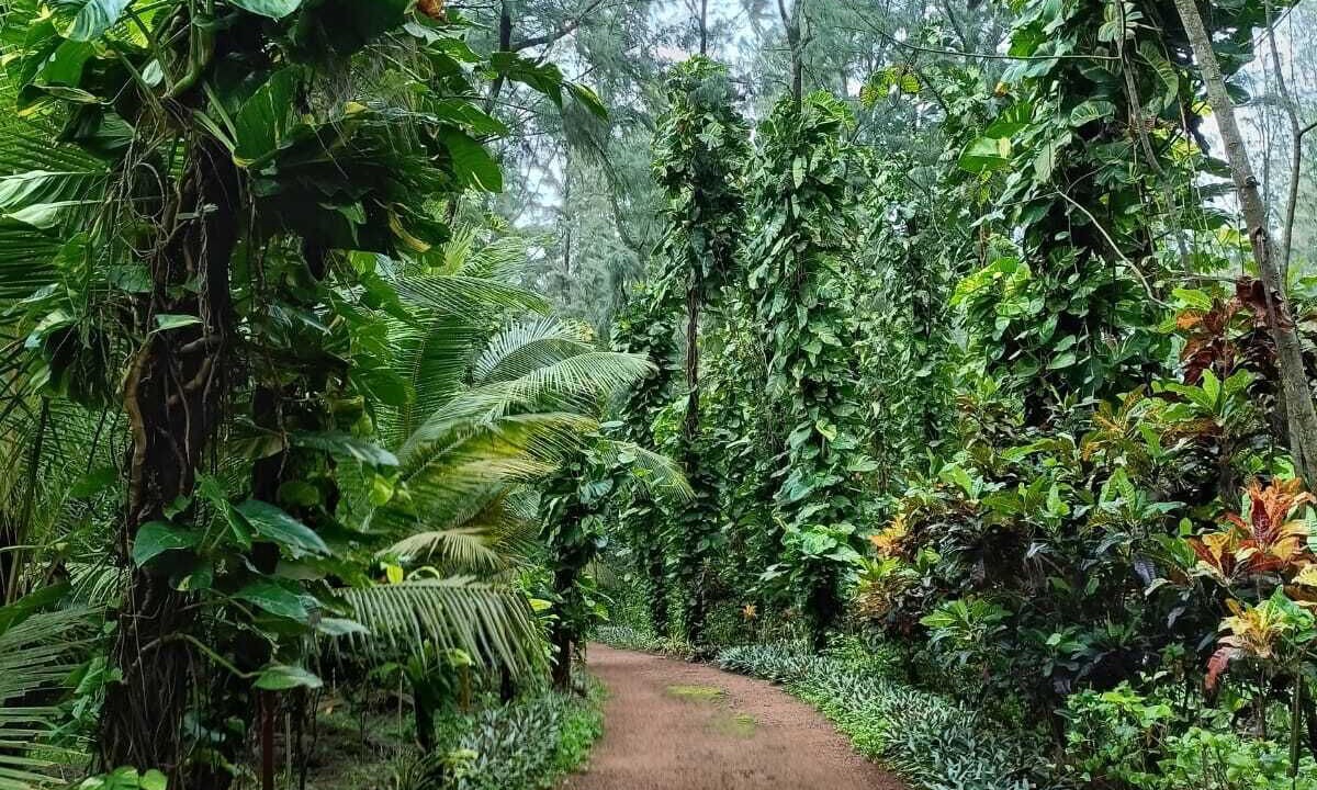 Photo of Outdoor in Kumta
