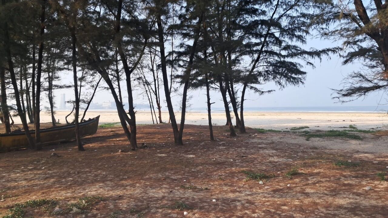 Photo of Outdoor in Murudeshwara