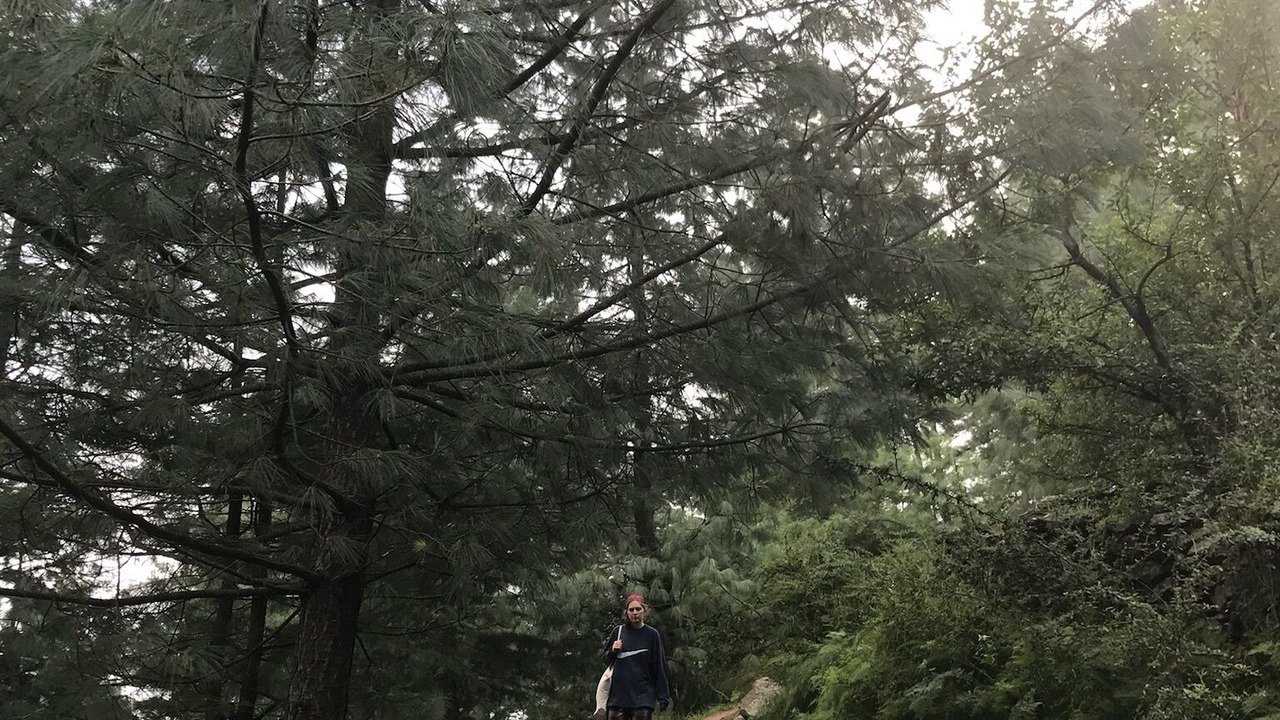 Photo of Others in Theog