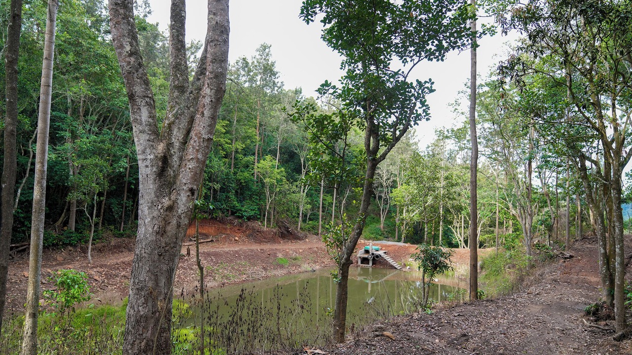 Photo of Outdoor in Sirumalai