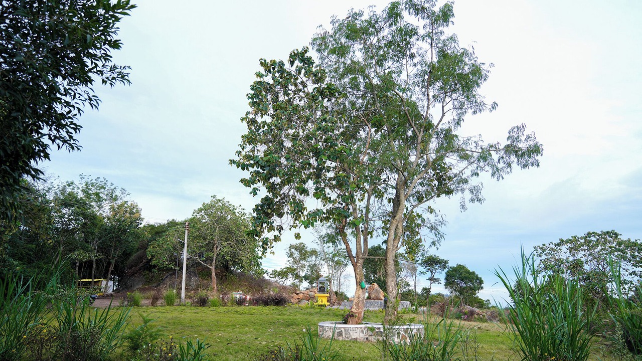 Photo of Outdoor in Sirumalai