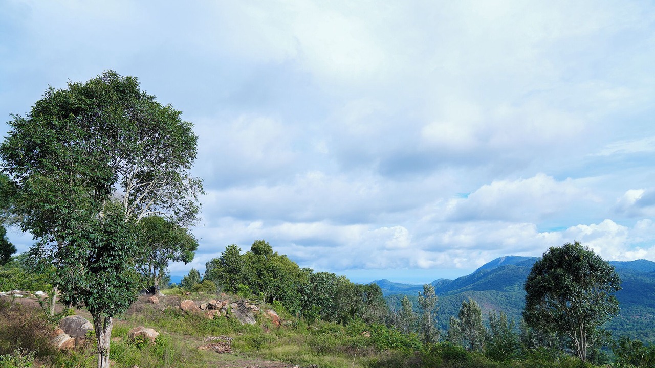 Photo of Outdoor in Sirumalai
