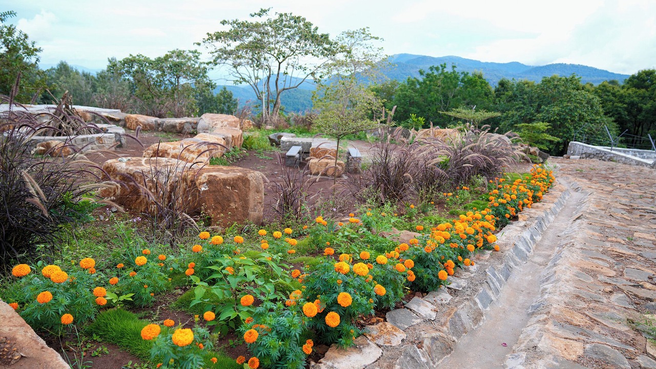 Photo of Outdoor in Sirumalai