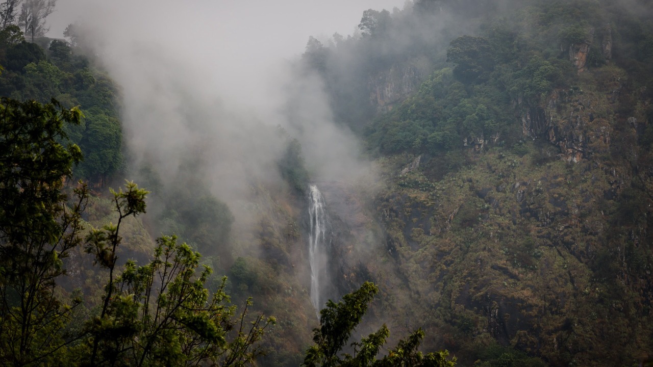 Photo of Others in Coonoor