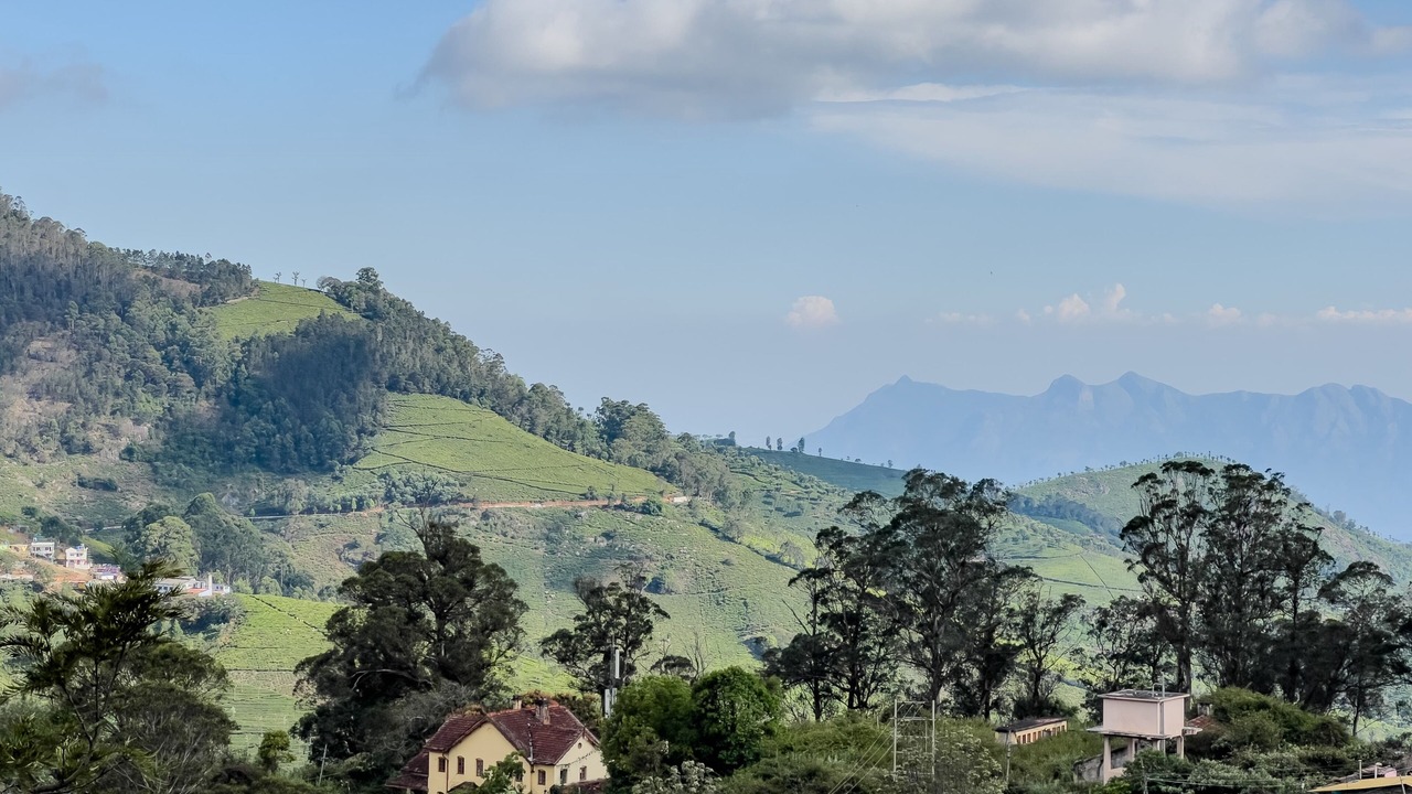 Photo of Others in Coonoor