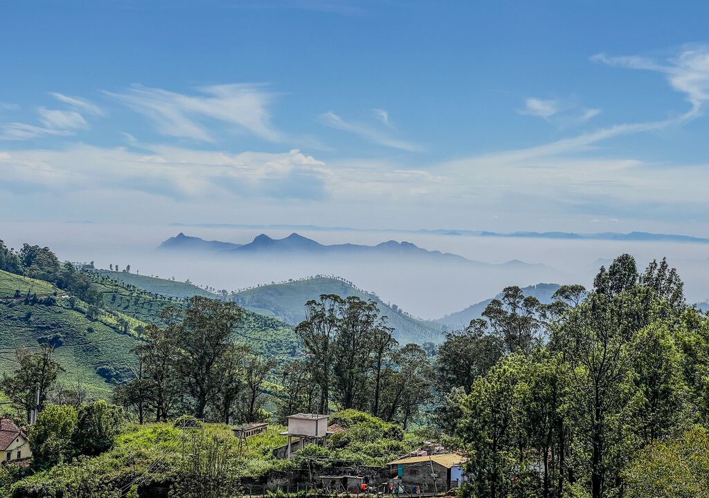 Photo of Others in Coonoor