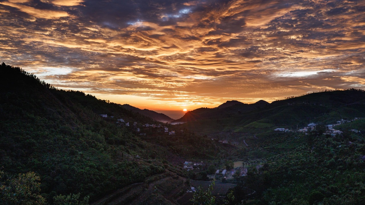 Photo of Others in Coonoor