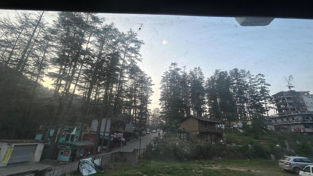 Photo of Others in Lohaghat