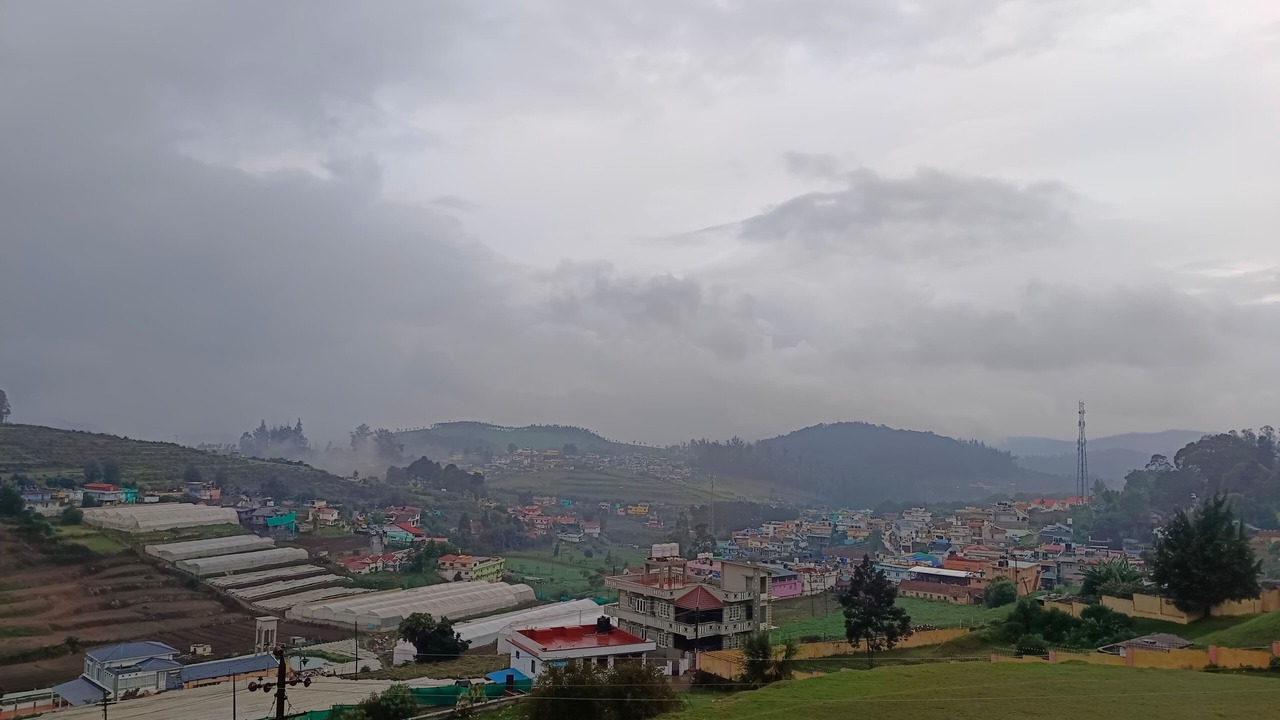 Photo of Outdoor in Fern Hill