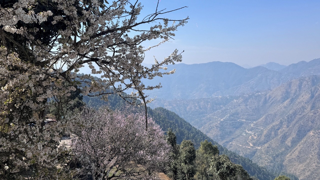 Photo of Others in Chamba