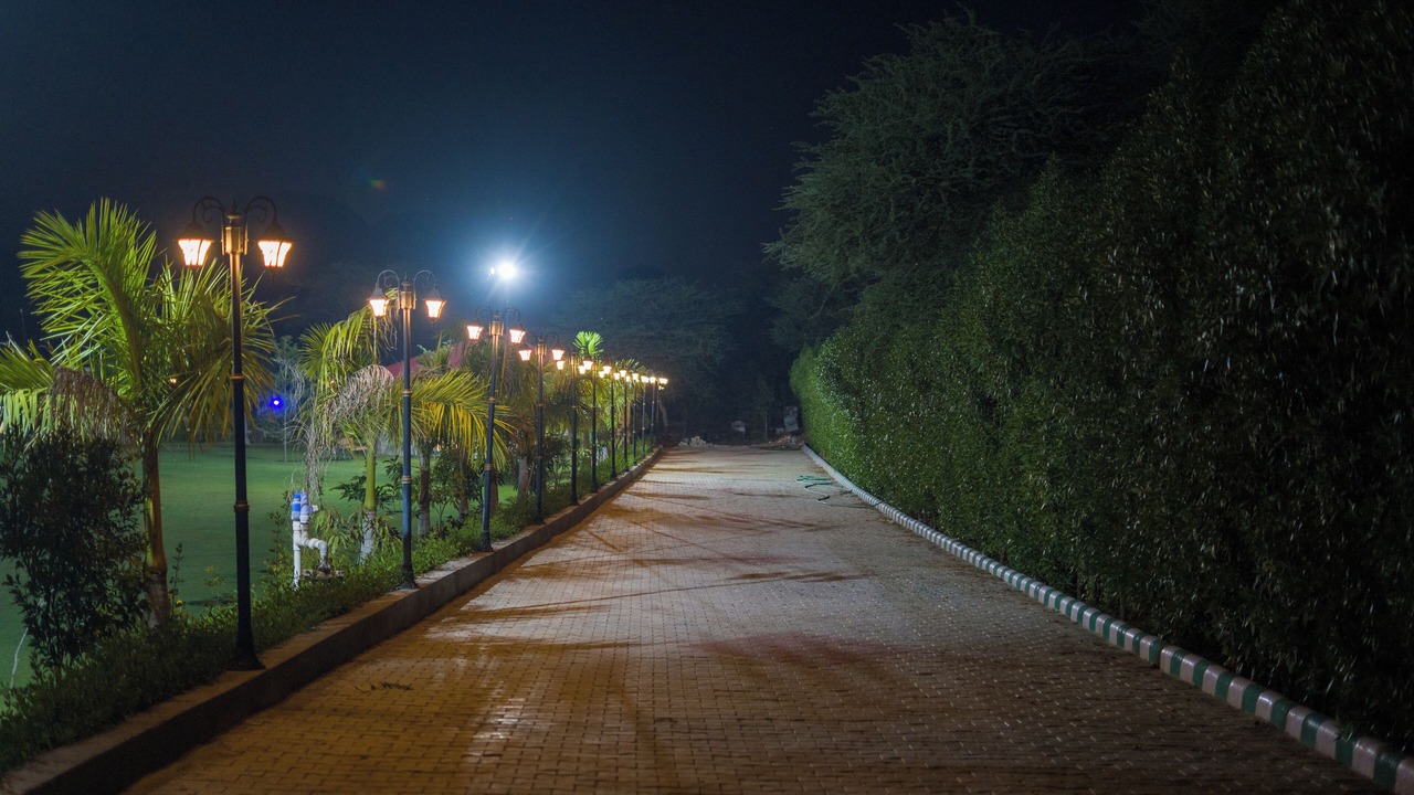 Photo of Outdoor in Taoru