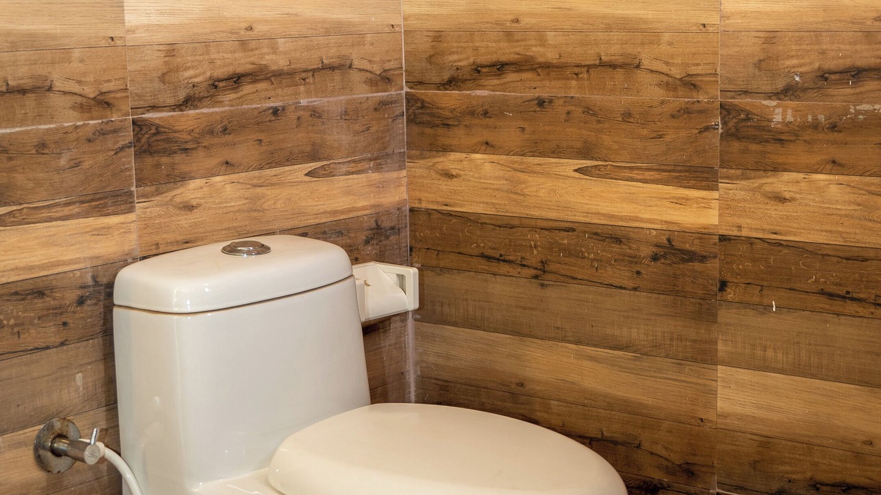 Photo of Bathroom in Chaudi