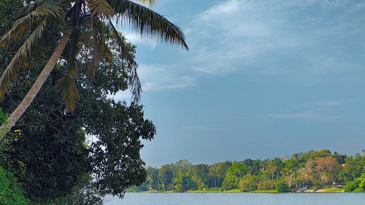 Photo of Outdoor in Nedumbassery
