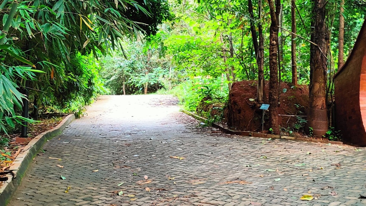 Photo of Outdoor in Cheruthuruthy