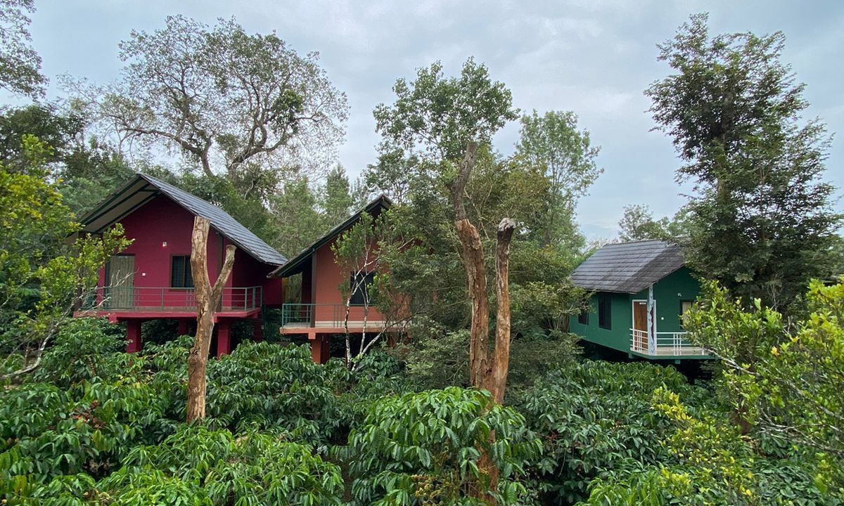 Photo of Outdoor in Kaimane