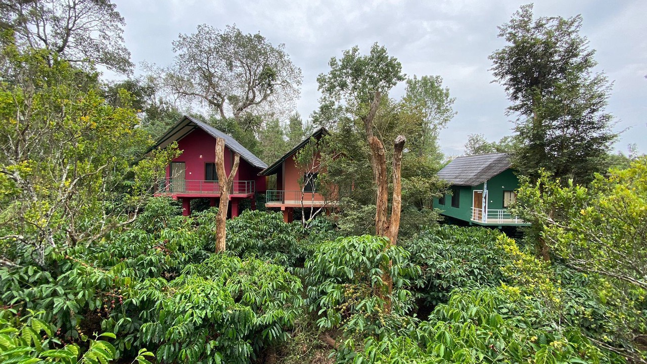 Photo of Outdoor in Kaimane