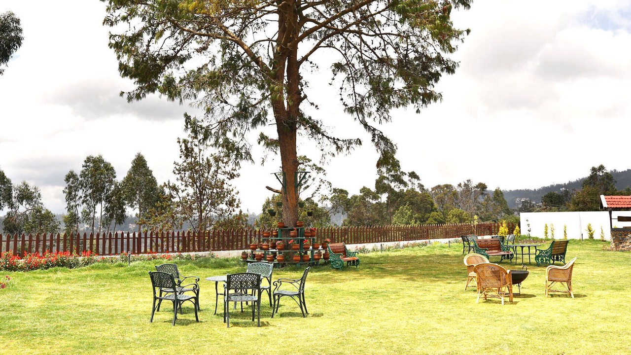 Photo of Outdoor in Fern Hill