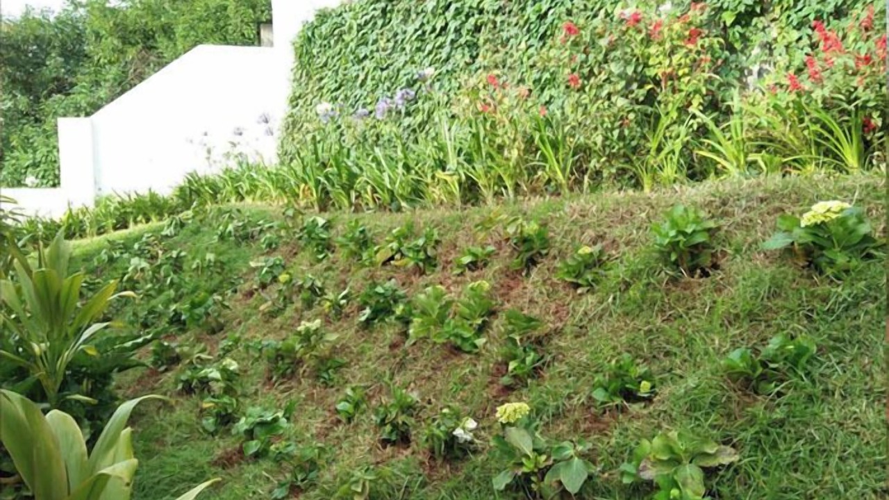 Photo of Outdoor in Fern Hill