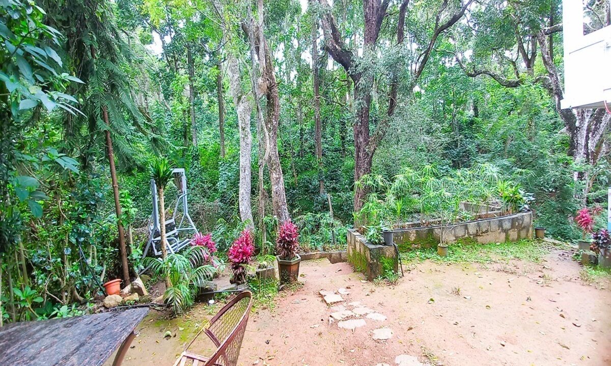 Photo of Outdoor in Yercaud