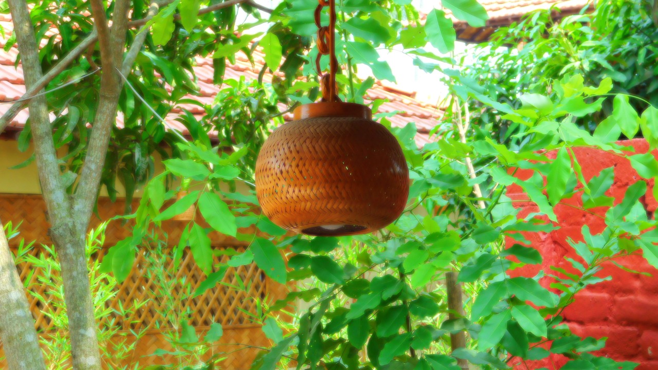 Photo of Outdoor in Raypur