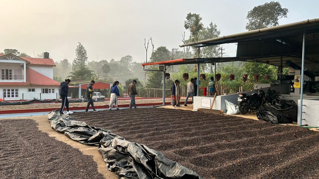 Photo of Outdoor in Madikeri