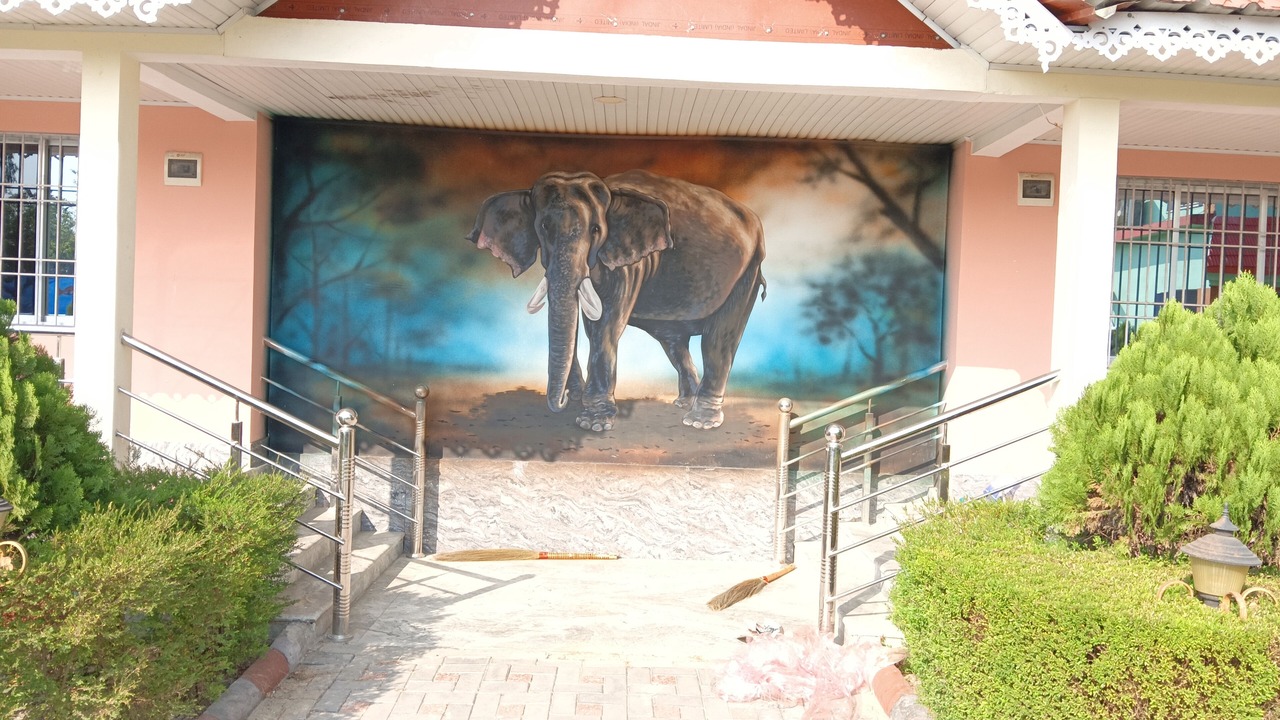Photo of Outdoor in Neora