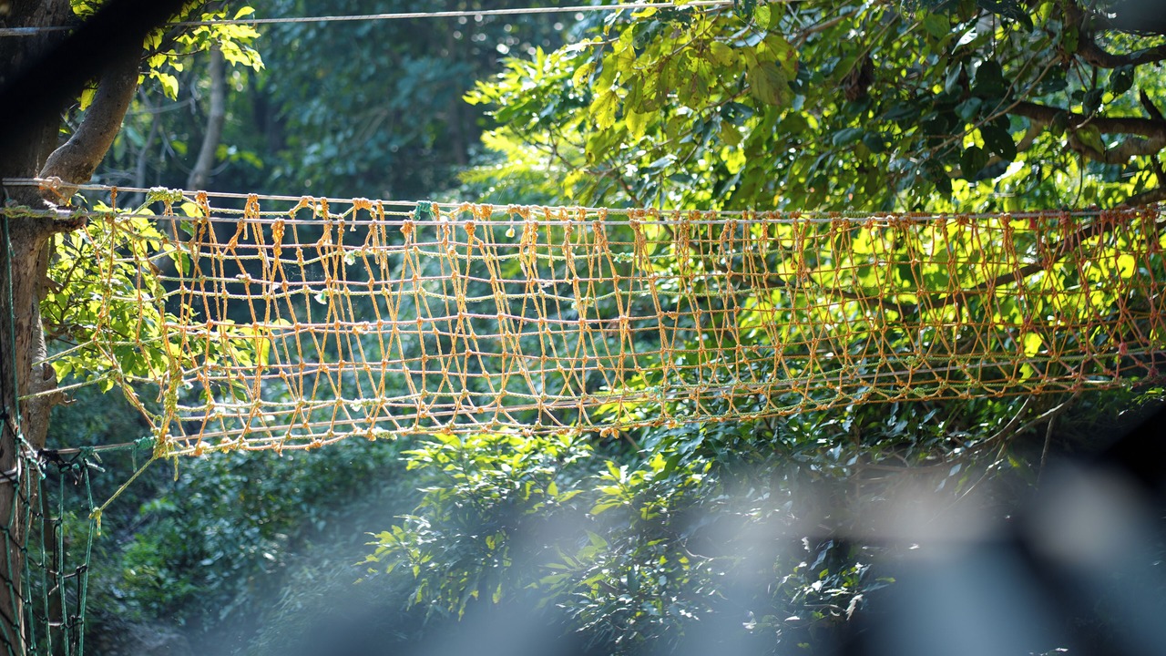 Photo of Outdoor in Atali