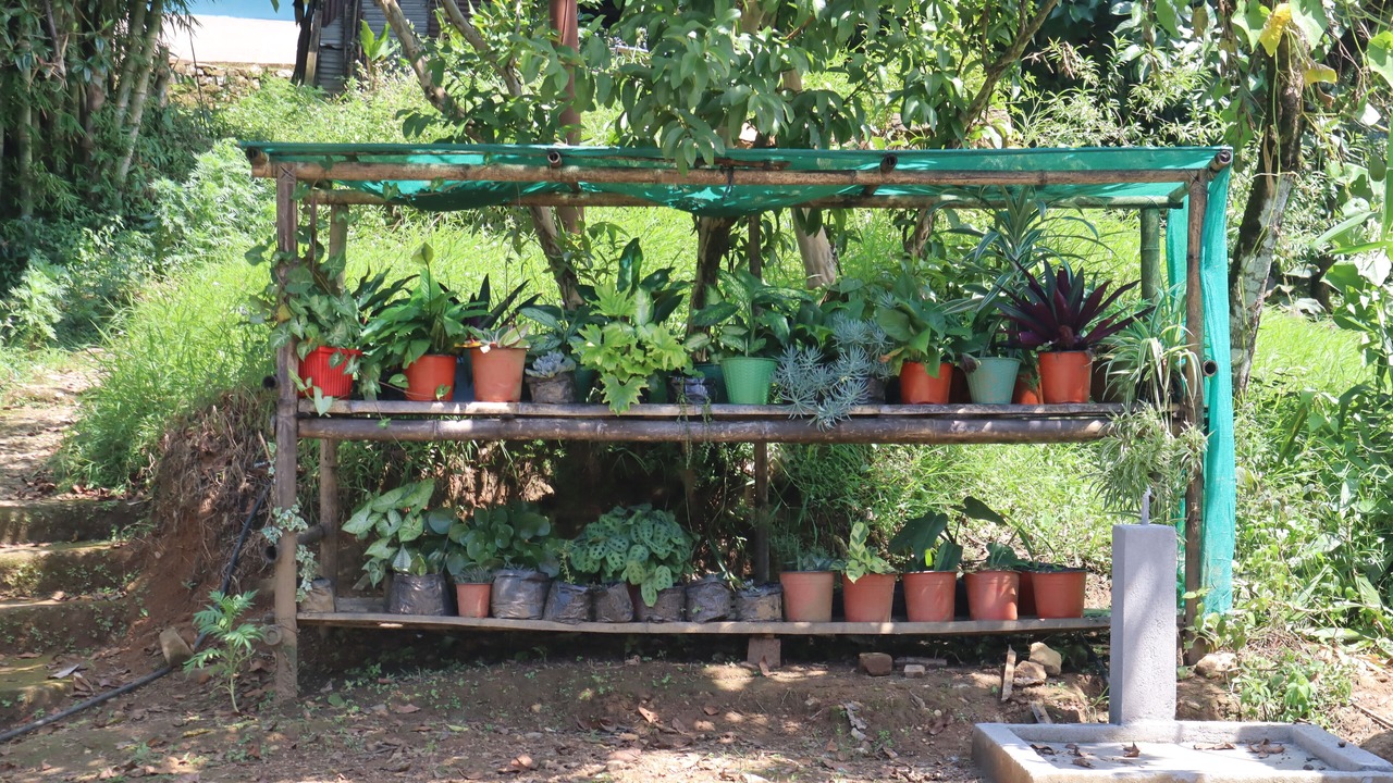 Photo of Outdoor in Rishop