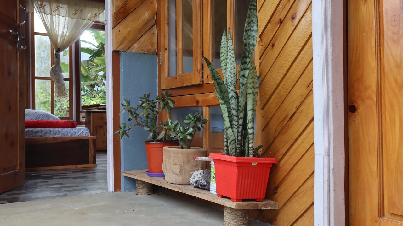 Photo of Patio Balcony in Rishop