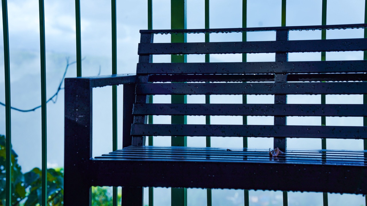 Photo of Outdoor in Kalpetta