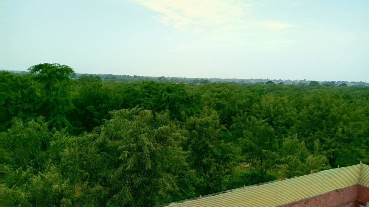 Photo of Patio Balcony in Village Hokra