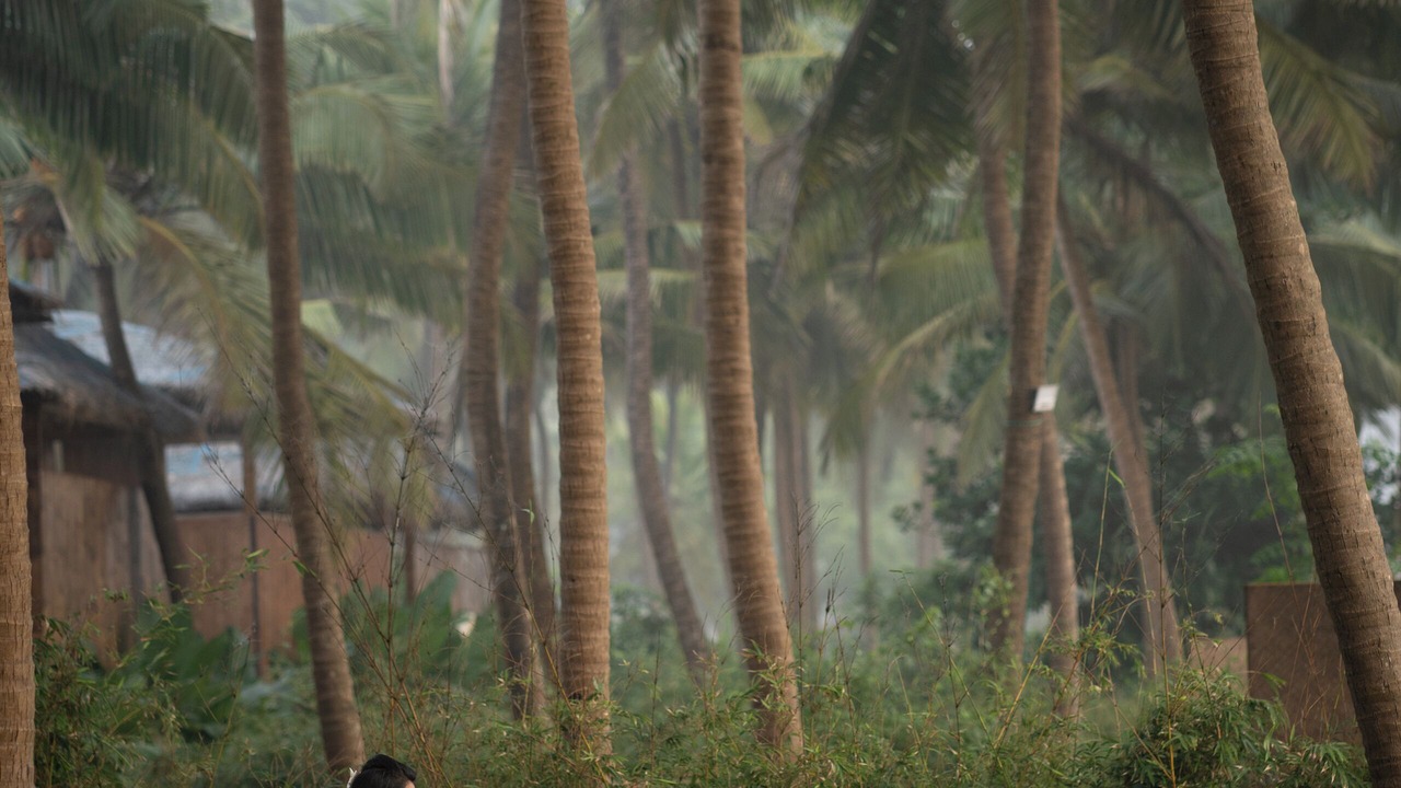 Photo of Outdoor in Kumta