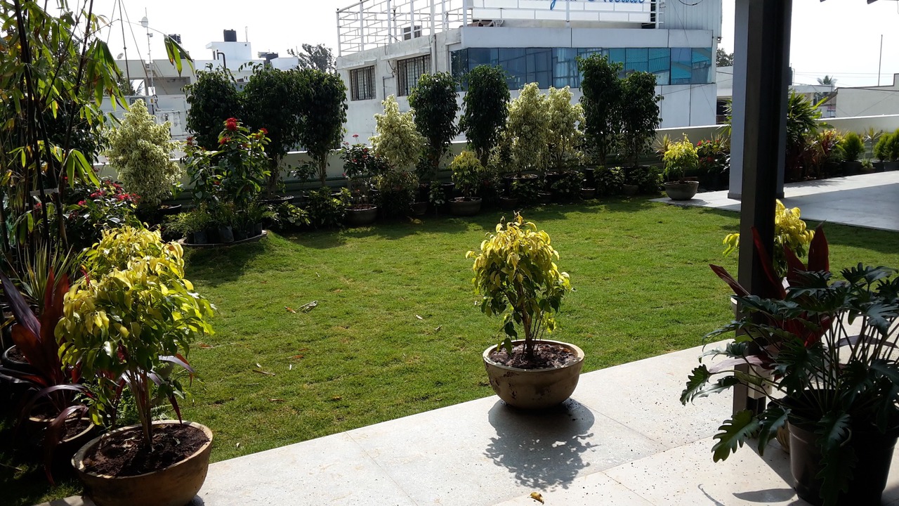 Photo of Patio Balcony in Stage 1