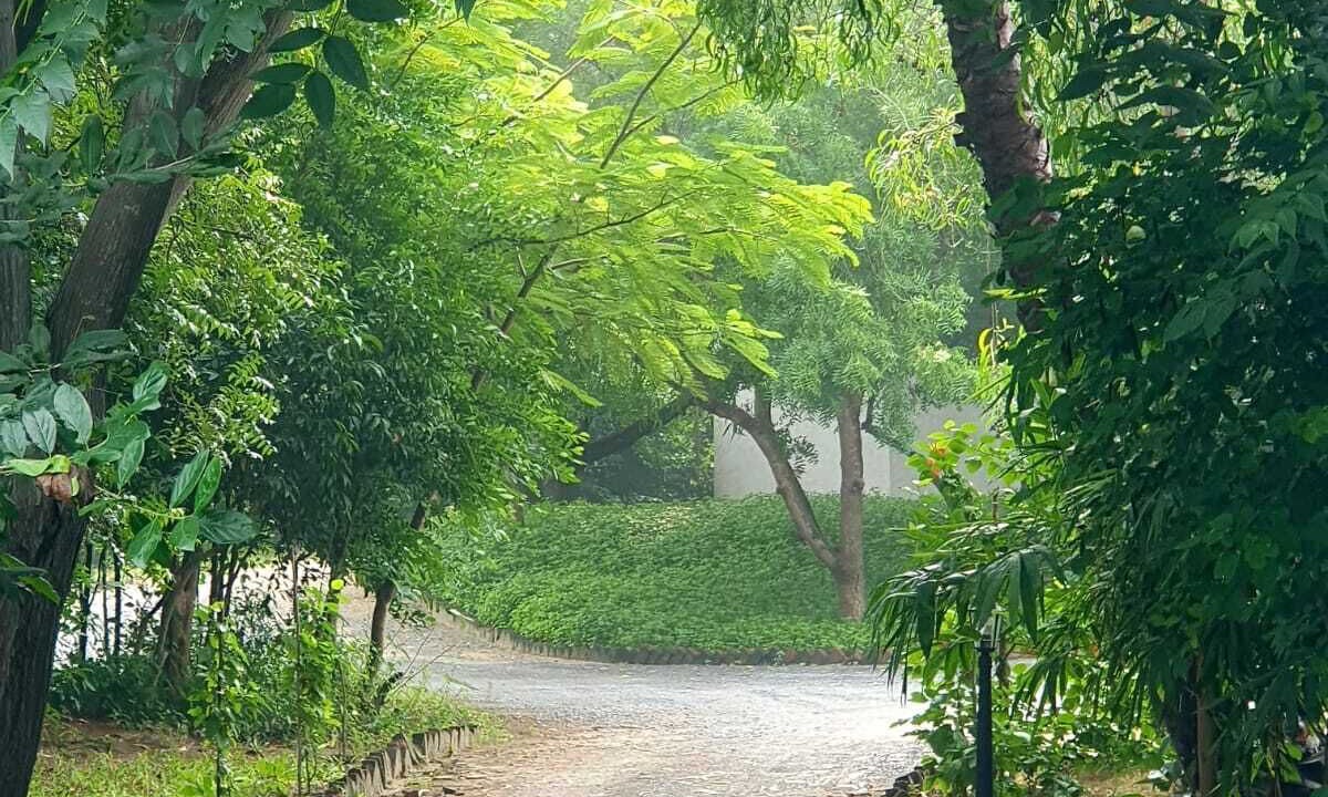Photo of Outdoor in Cheyyur