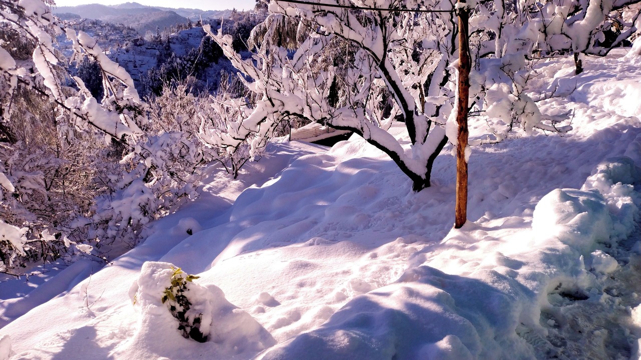 Photo of Outdoor in Mukteshwar