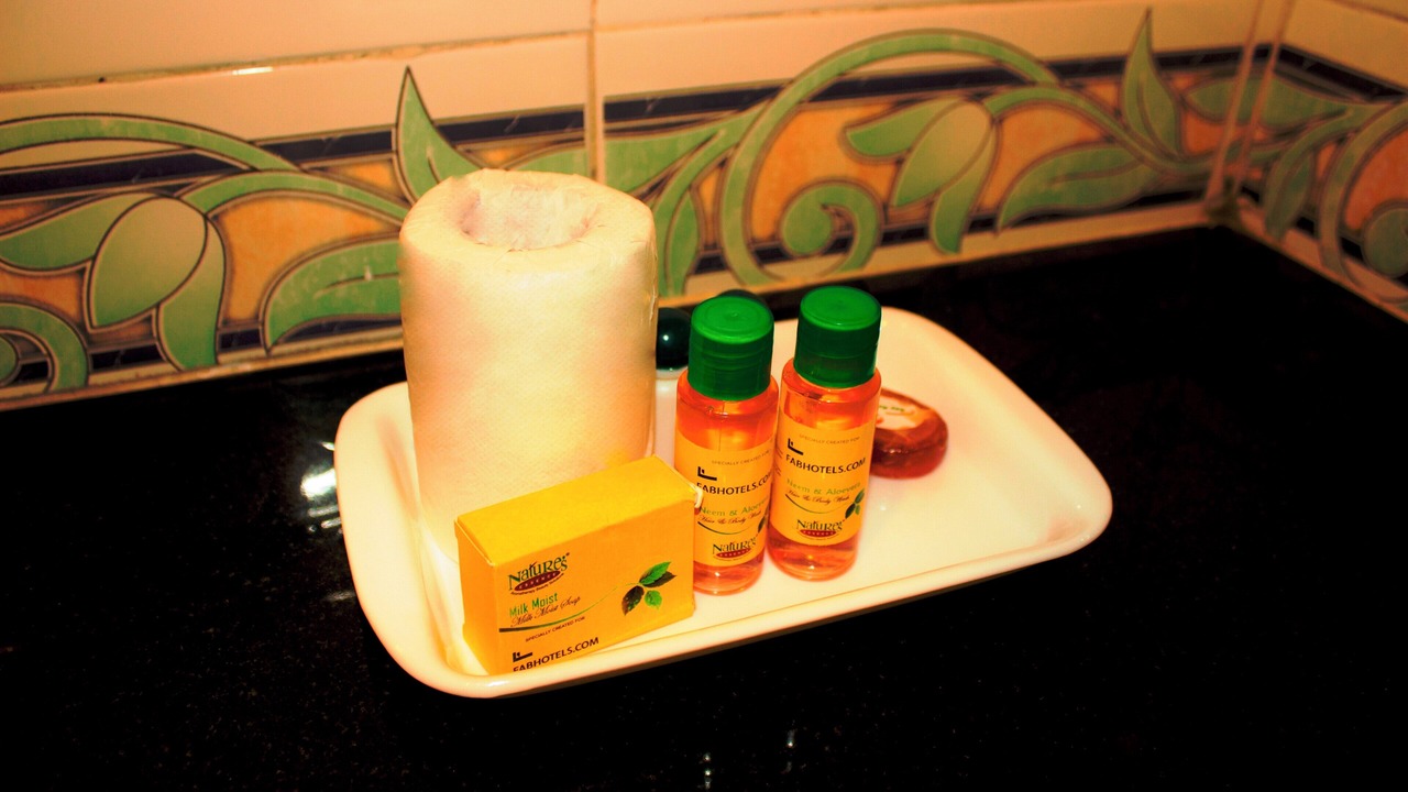 Photo of Bathroom in Sector 1